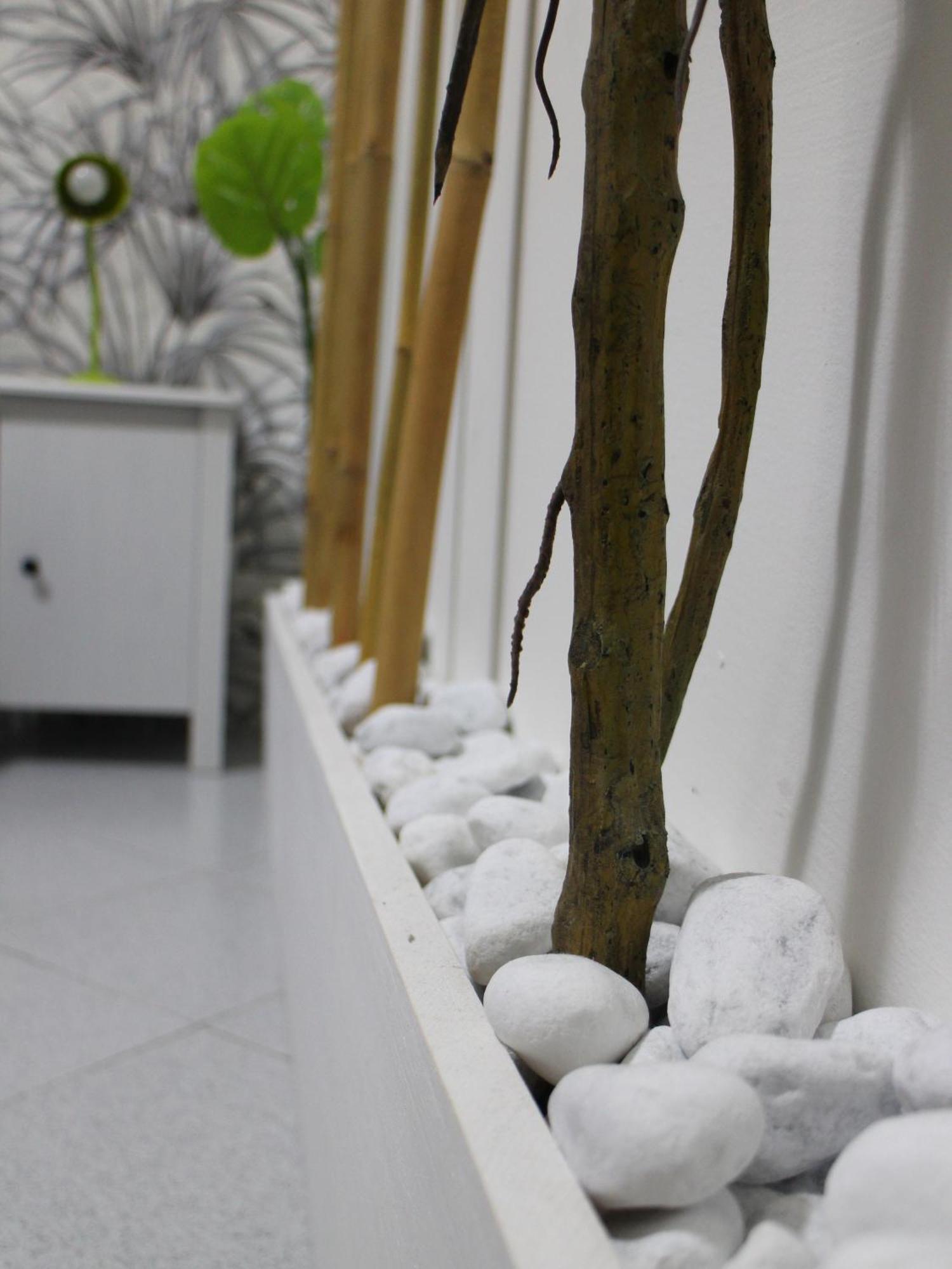 Spaccanapoli Mario's House Apartment Naples